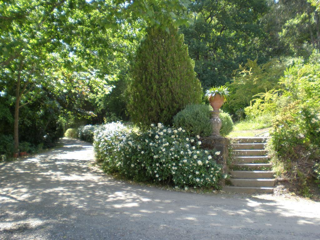 Quinta Da Vargem Unhais Da Serra Exteriör bild